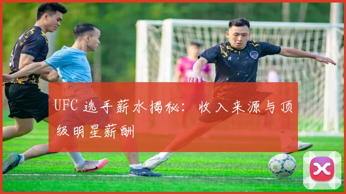 UFC 选手薪水揭秘:收入来源与顶级明星薪酬